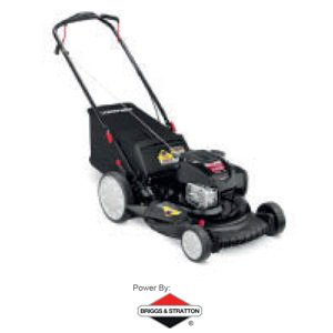 Podadora Briggs & Stratton